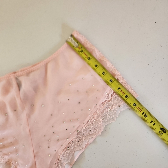 Victoria's Secret Pink Sheer See Through Panty Panties Bloomers New NWT Lace - Picture 7 of 7